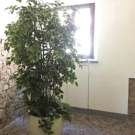 Lägenhet Casa Neni *